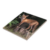 Carreau Renard roux posant    (Côté)