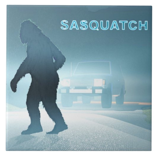 Carreau Rencontre Sasquatch (Devant)