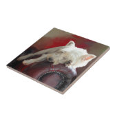 Carreau Repose de Westie (Côté)