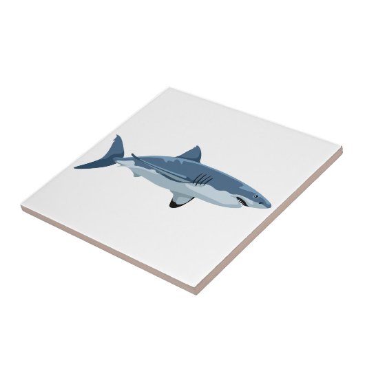 Carreau Requin (Côté)