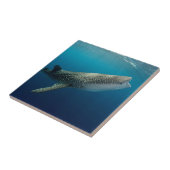 Carreau Requin Baleine Natant (Côté)
