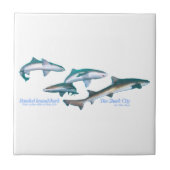 Carreau Requin basané (Devant)