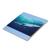 Carreau Requin bleu (Côté)