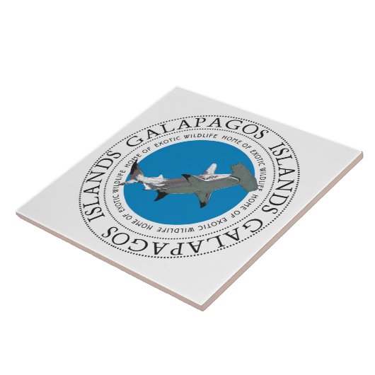 Carreau requin marteau des îles Galapagos (Côté)