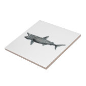 Carreau Requin pèlerin (Côté)