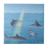 Carreau Requins (Devant)