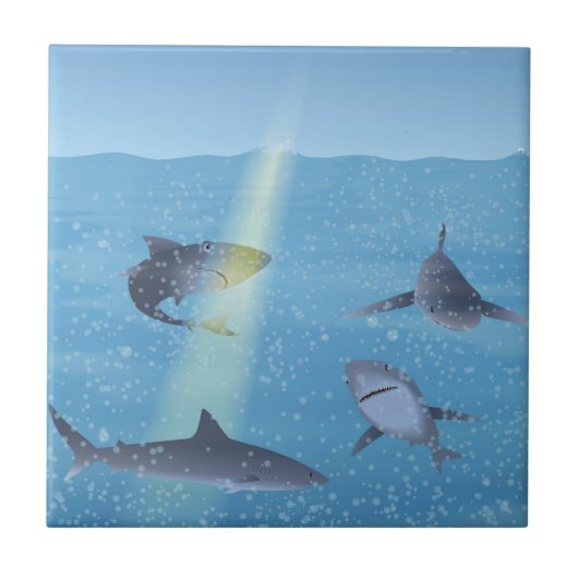 Carreau Requins (Devant)