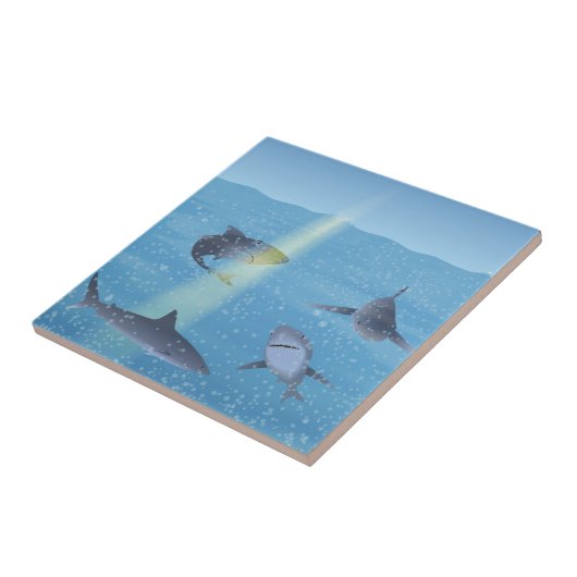 Carreau Requins (Côté)