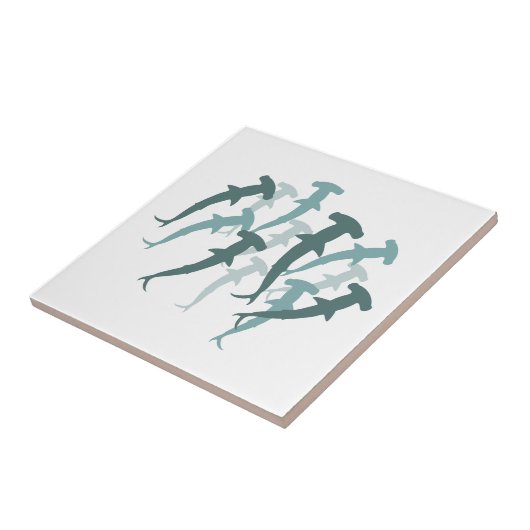 Carreau Requins à tête de marteau (Côté)