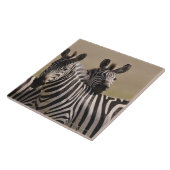 Carreau Réservation nationale de Mara de masai, Kenya, (Côté)