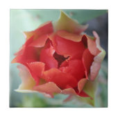 Carreau Ressort (Devant)