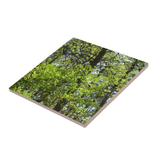 Carreau Ressource Feuille (Côté)