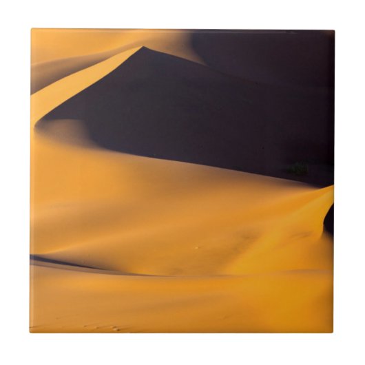 Carreau Résumé de dune de sable (Devant)