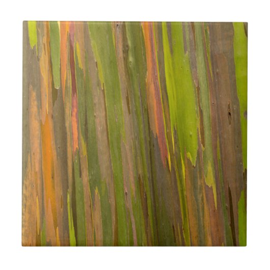 Carreau Résumé de l'écorce d'eucalyptus (Devant)