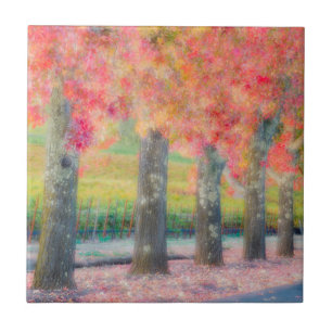 Carreau Résumé des arbres de la vallée de Napa