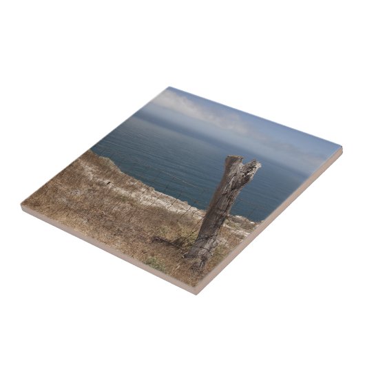 Carreau Retraite de l'artiste (Côté)