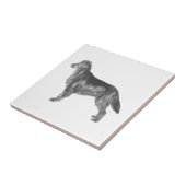 Carreau Retrieur à revêtement plat (Côté)