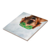 Carreau Retriever d'or avec lunettes de soleil vertes (Côté)