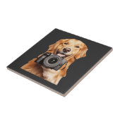Carreau Retriever doré (Côté)