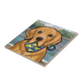 Carreau Retriever doré (Côté)