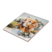 Carreau Retriever du Labrador (Côté)