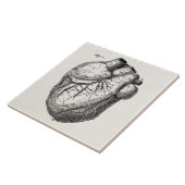 Carreau Rétros coeurs cardiaques d'anatomie de coeur (Côté)