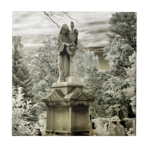 Carreau Rêve infrarouge