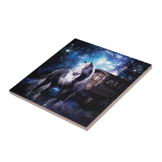 Carreau Rêves gitans de Vanner (Côté)