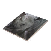 Carreau Rhinoceros noir (Côté)