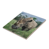 Carreau Rhinocéros noir | Kenya (Côté)