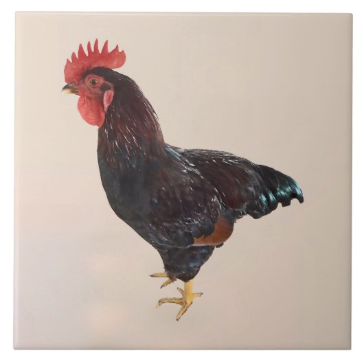 Carreau Rhode Island Red Rooster (Devant)