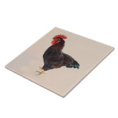 Carreau Rhode Island Red Rooster (Côté)