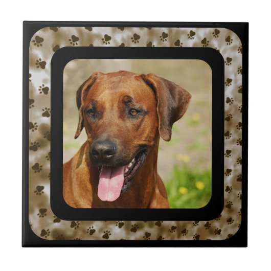 CARREAU RHODESIAN RIDGEBACK (Devant)