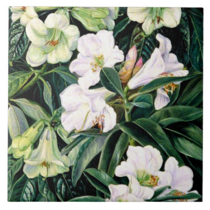 Carreau Rhododendron de l'Inde du Nord, art botanique,