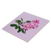 Carreau Rhododendron rose pâle (Côté)