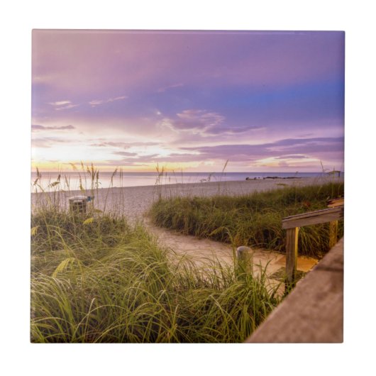 Carreau Rivage et océan calme | la Floride de plage de (Devant)