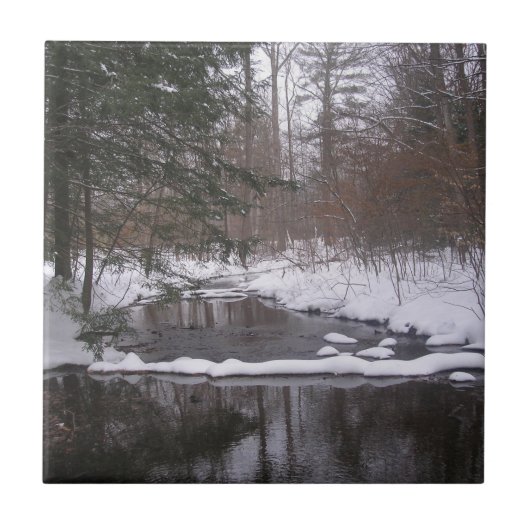 Carreau 'Rivière d'hiver' (Devant)