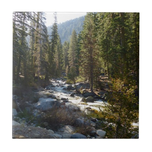 Carreau Rivière Kaweah dans le parc national de Sequoia (Devant)