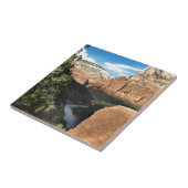 Carreau Rivière Vierge dans le canyon de Sion (Côté)
