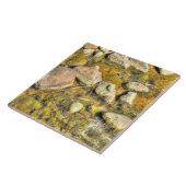 Carreau Rivières Rocks (Côté)