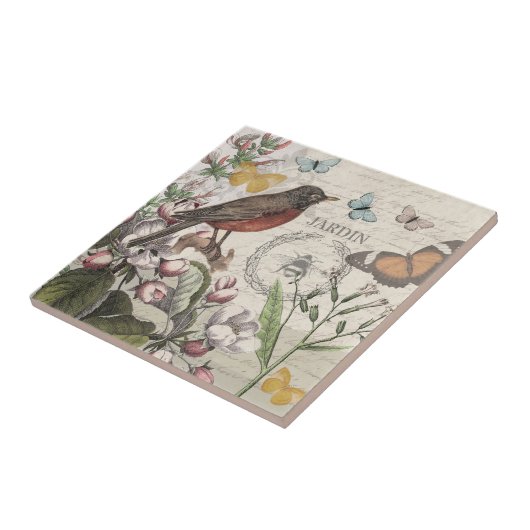 Carreau Robin Elegant Bird Butterfly French Art (Côté)