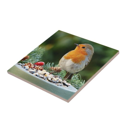 Carreau Robin rustique-rouge, Colibri (Côté)