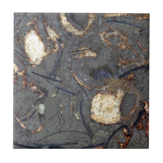 Carreau Roche de carbonate avec des fossiles (Devant)