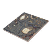 Carreau Roche de carbonate avec des fossiles (Côté)