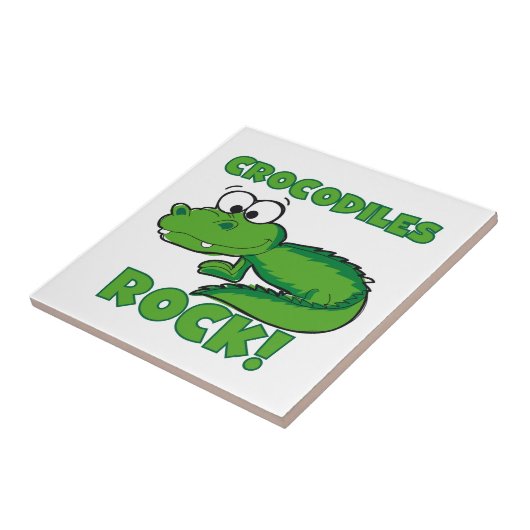 Carreau Roche de crocodiles (Côté)