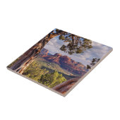 Carreau Roche rouge | Sedona Arizona (Côté)