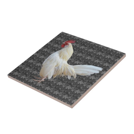 CARREAU ROCHER BLANC (Côté)