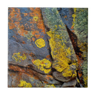 Carreau Rochers couverts de lichen