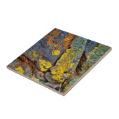 Carreau Rochers couverts de lichen (Côté)