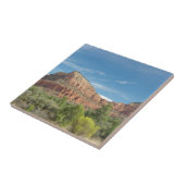 Carreau Roches rouges à Sedona (Côté)